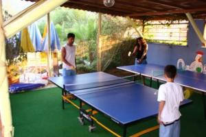 ping pong