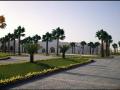 przy hotelu Hilton Marsa Alam